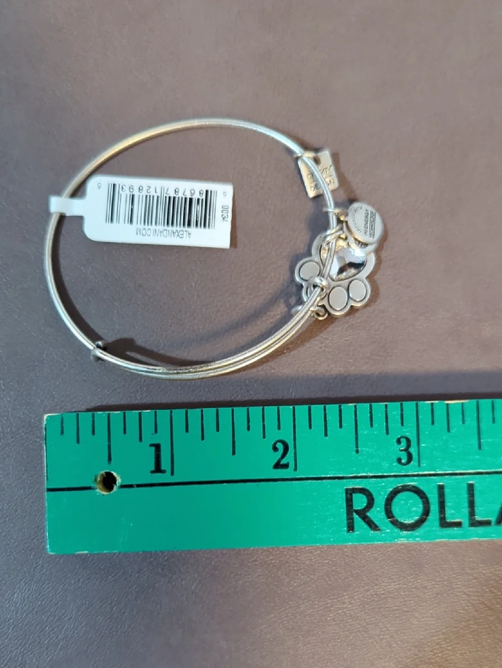 Alex And Ani Prints Of Love Charity By Design Dog Paw Swarovski Crystals Silver